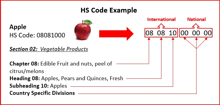 Apple HS Code - GCE Logistic Importer of Record HS Code