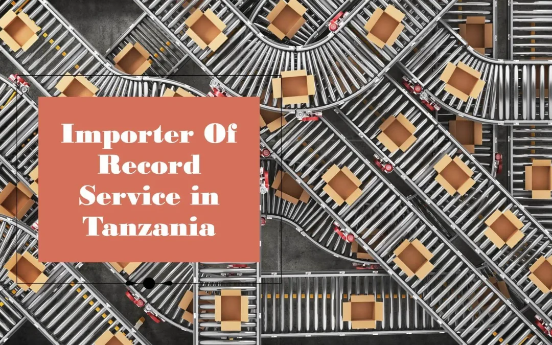 Importer Of Record IOR Service in Tanzania